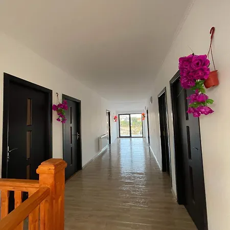 Pensión Vila Sofia Iasmin *