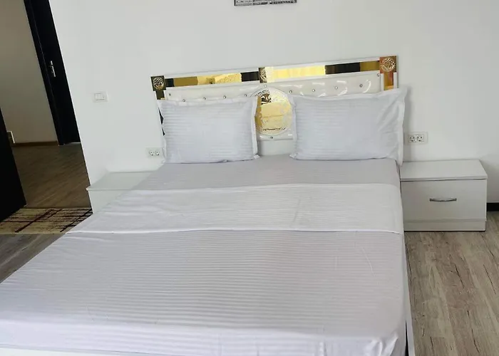 ゲストハウス Vila Sofia Iasmin