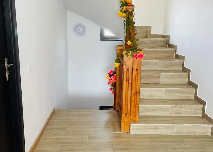 ゲストハウス Vila Sofia Iasmin エフォリエ・ノルド