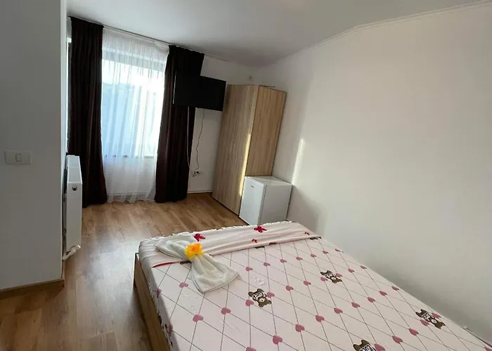 Vila Sofia Iasmin ゲストハウス