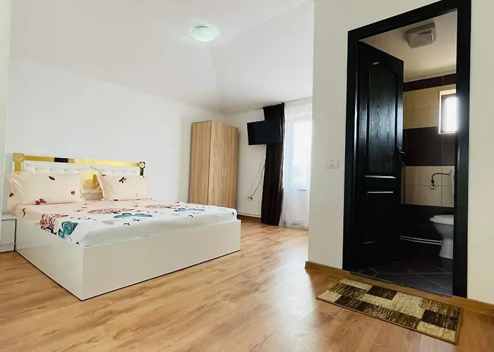 ゲストハウス Vila Sofia Iasmin *